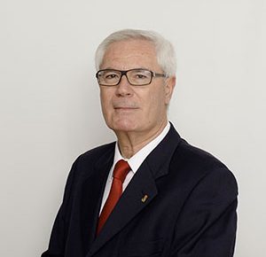 Vicente Ruiz Robles